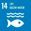 14 LIFE VELOW WATER