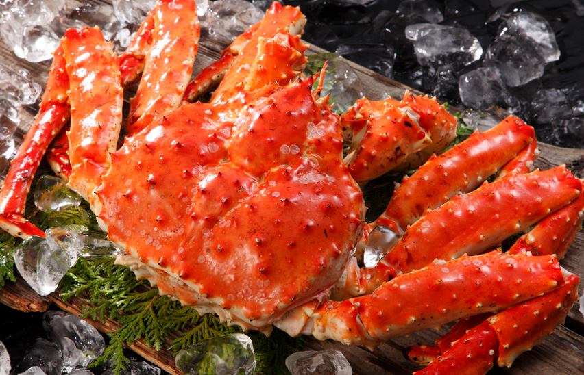 Red King Crab