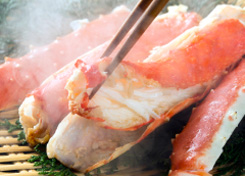 Red King Crab