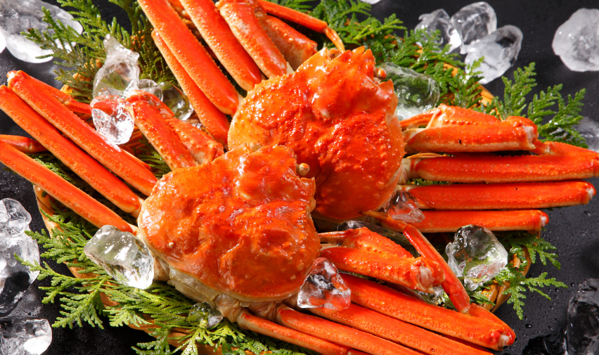 Queen Crab
