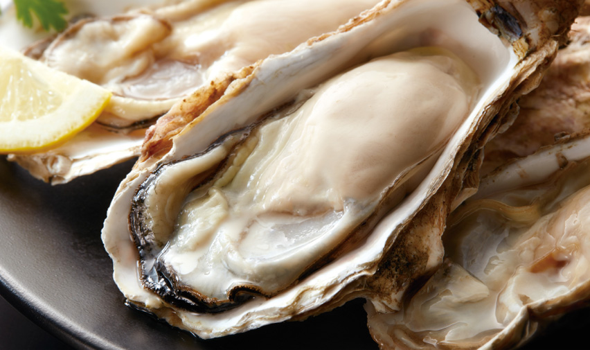 Oysters