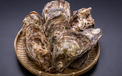 Oysters