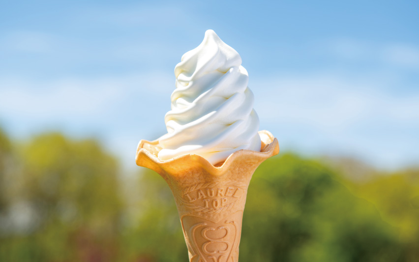 Soft Serve Ice Cream