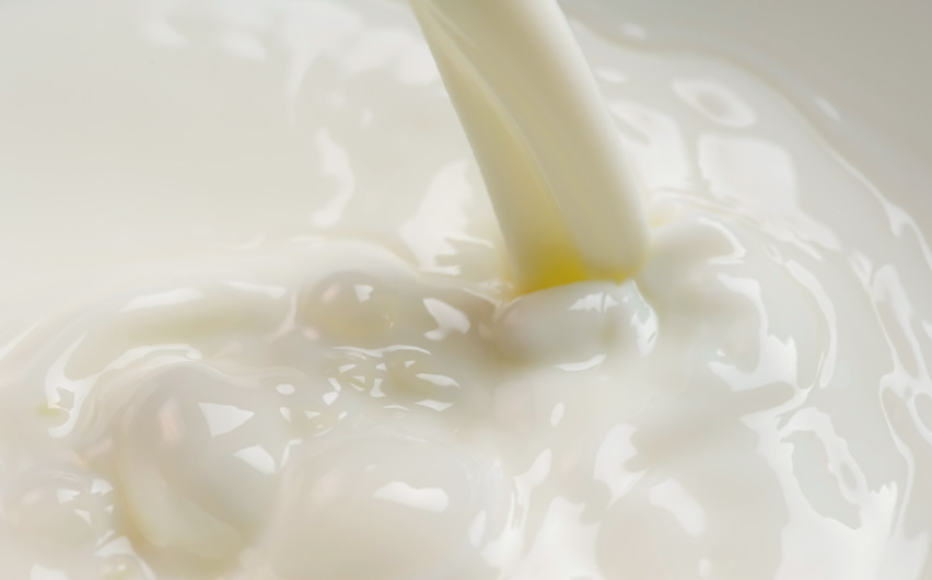 Cow’s Milk
