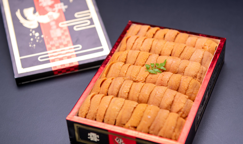 Sea Urchin