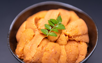 Sea Urchin