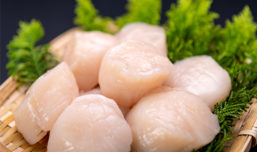 Scallops