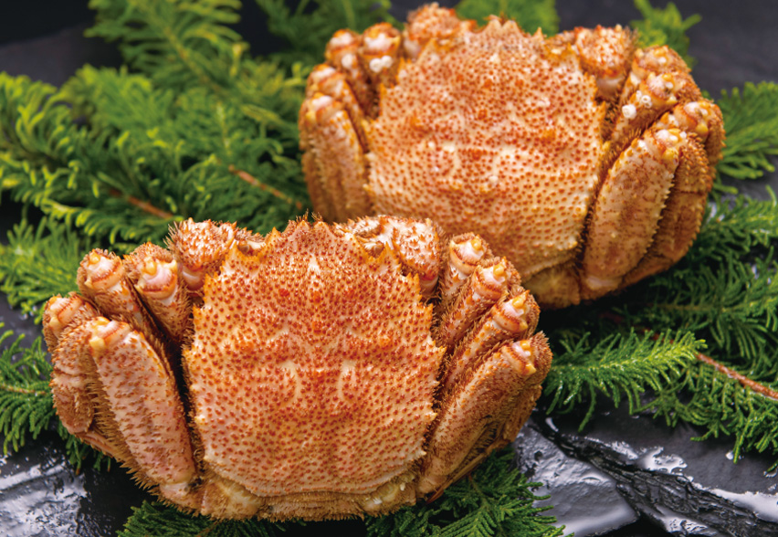 Hair Crab