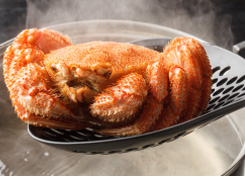 Hair Crab